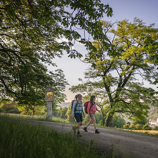 Zwei Wanderinnen mit Rucksäcken unter alten Bäumen, Stamm mit gelbem Schild und Zahl 7 im Vordergrund.